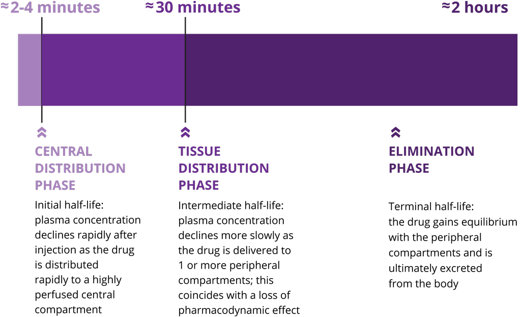 Time line of plasma concentration of Lexiscan